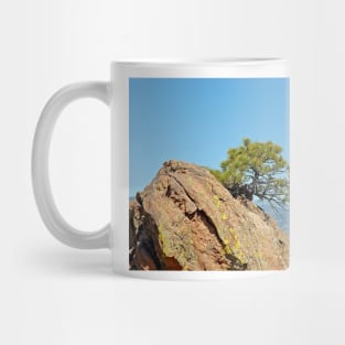 Shrub and Rock at Canon City Mug